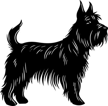 Scottish terrier flat icon