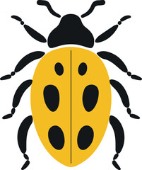Squash beetle flat icon