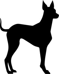 Xoloitzcuintli flat icon