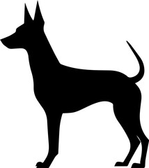 Xoloitzcuintli flat icon