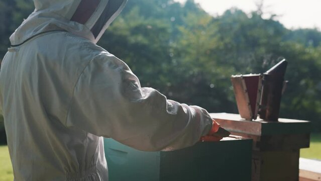 Beekeeping suit, beekeeper, honey bees, bee hive