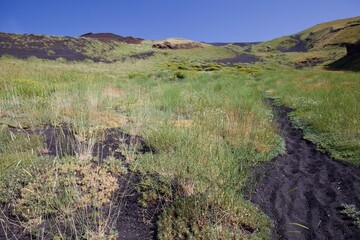 Etna national park panoramic view of volcanic landscape with crater, Catania, Sicily
