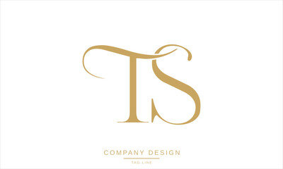 ST, TS, Abstract Letters Logo Monogram