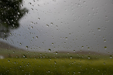 Drizzle in the forest through the glass