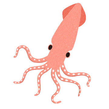 Food Seafood Animal Giant Squid Hand Drawn Illustration