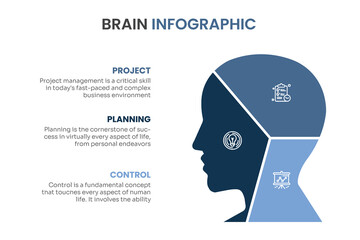 Vector Brain infographic Set. Template for human head diagram, graph, presentation, face chart. Business idea concept with 3, 4, 5, 6, 7, 8 options, parts, steps or processes. Brainstorming.
