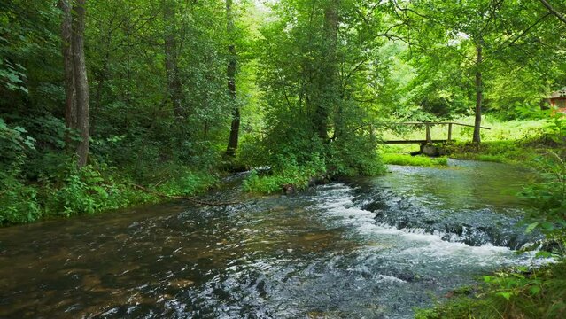 The "Sopot" river in Nowiny in Roztocze. Nice cascades on the river.