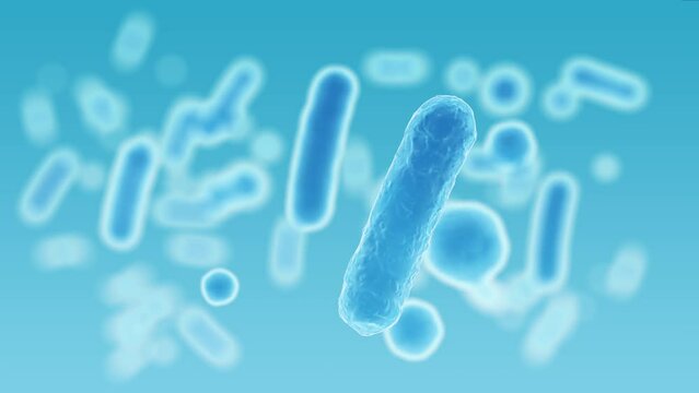 Enterobacteriaceae, gram-negative rod-shaped bacteria, part of intestinal microbiome and causative agents of different infections, 3D rendering. Escherichia coli, Klebsiella, Enterobacter and other