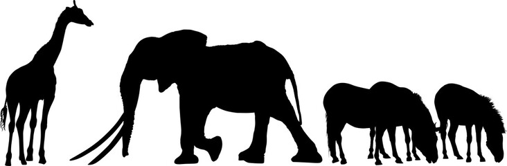 elefante, animal, vector, silueta, mamífero, ilustración, inhospitalario, fauna, animal, naturaleza