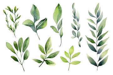Watercolor Tropical spring branches floral green leaves and flowers elements set isolated on transparent background, bouquets greeting or wedding card invitation, decoration clip art mock up.
