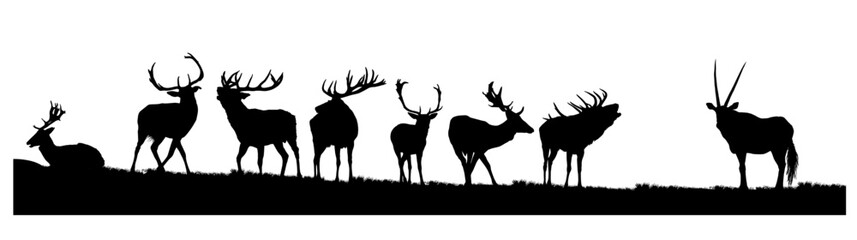 silueta, atardecer, giraffa, desierta, ciervos