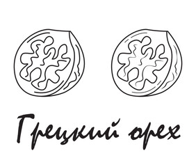 Badge walnut with the inscription "walnut" in Russian. Vector, eps