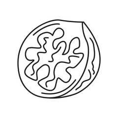 Black and white image of a walnut. Vector image, eps
