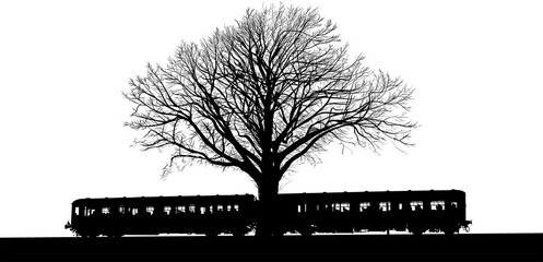 árbol, naturaleza, de invierno, silueta, blanco, tren