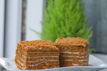 a couple of slices of delicious honey cake
