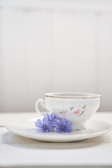 Cichorium intybus, the flowers of which are usually called blue sailors, chicory, coffee grass or accelerated - herbaceous perennial plant. On the background of a mug. High quality photo