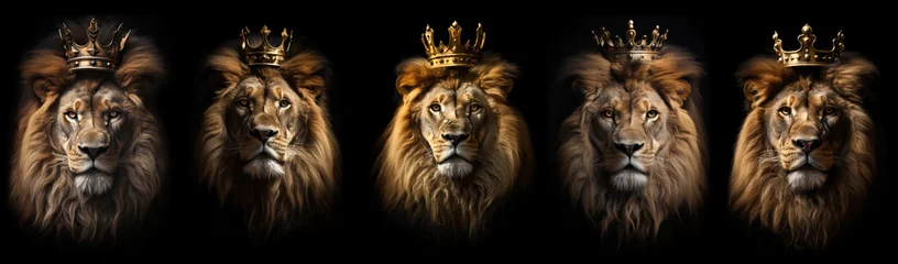 Gardinen a collection of lion portraits wearing a king crown. lion of Judah. Christian religious concept. Isolated black background.  © ana
