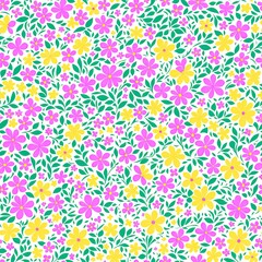 Fototapeta na wymiar Multicolored seamless pattern of flowers.