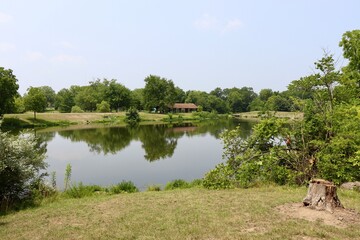 The peaceful lake in the countryside on a sunny day.