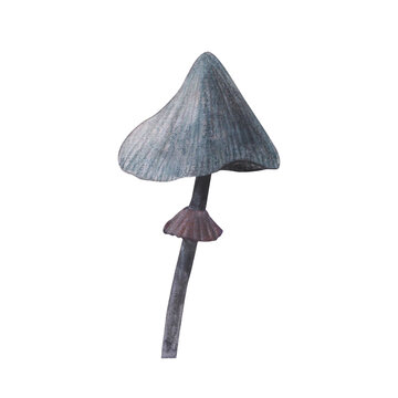 recommend clip art: Blue toadstool with magical texture isolated on white background. Watercolor hand drawn amanita poison mushroom sketch iIllustration. Art design witchcraft halloween witch decoration, greeting card