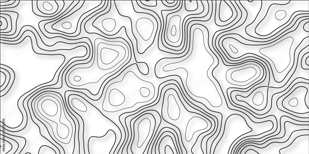Poster contour map background. vector geography scheme and terrain. topography grid map. stylized topograph