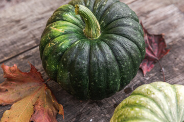 Autumnal Background. Natural autumn fall view pumpkins on wooden background. Inspirational october...