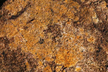 Mossy rock background. Mossy rock  texture