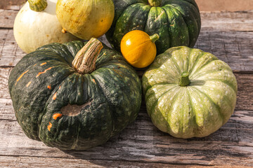 Autumnal Background. Natural autumn fall view pumpkins on wooden background. Inspirational october...