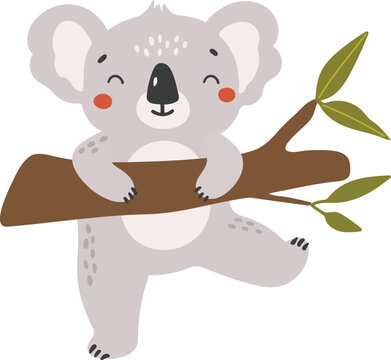 Koala animal vector, Abstract baby koala vector, safari baby animal, cute animal isolated, adorable koala for print, vector illustration