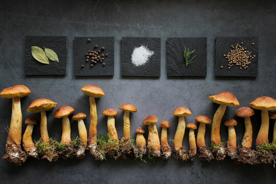 Aureoboletus projectellus mushrooms with spices on dark background. Menu concept. Flat lay, close up, copy space.