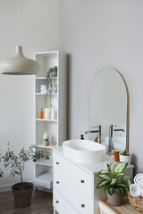 Interior of light bathroom with white sink, shelving unit, bath accessories and houseplants