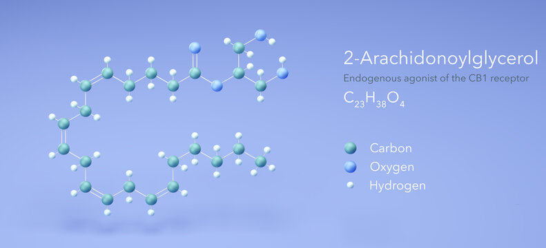 2-arachidonoylglycerol molecule, molecular structures, endocannabinoid, 3d model, Structural Chemical Formula and Atoms with Color Coding