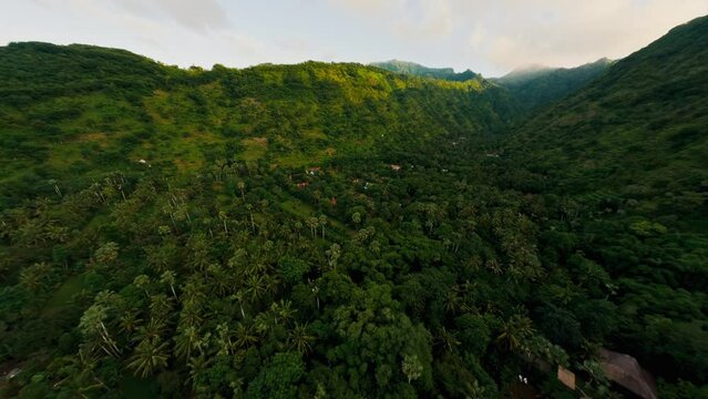 Aerial fpv sport drone raising valley mountain village range landscape covering green plants in Asia. Scenery wild nature destination cinematic green hills with houses jungle palms geology formation