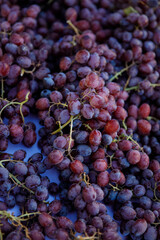 Grapes  at  Market