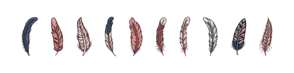 Feather hand drawn vector illustration. Colorful feathers set. Bird quill collection isolated.