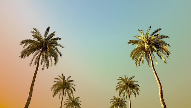 3D Animation - Looping forward camera movement in a corridor of palm trees in a colorful sunset