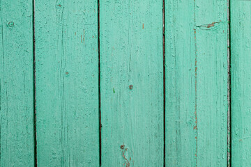 Boards with knots painted with green paint. Wooden background