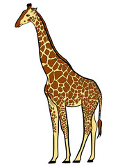 Giraffe cartoon illustration isolated