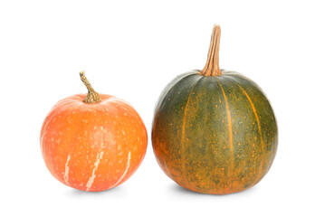 Different fresh pumpkins on white background