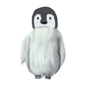 Cute penguin in the white background