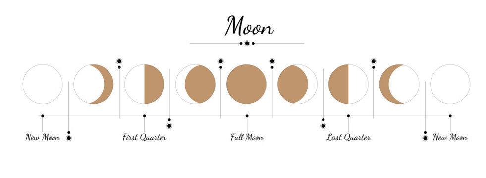 Moon phase illustration. Vector image of a new moon, full moon, waning moon