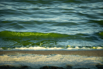 fresh water at the surfplas manmade lake in Reeuwijkse plassen has turned green from algae bloom in summer. strange coloured waves lap against the shore with foam scum appears toxic and polluted