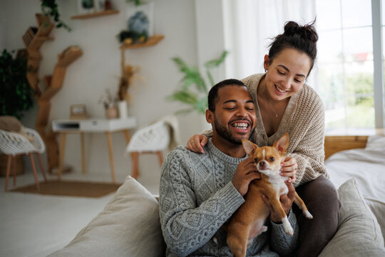 Positive young multiethnic couple in sweaters petting chihuahua dog on armchair at home