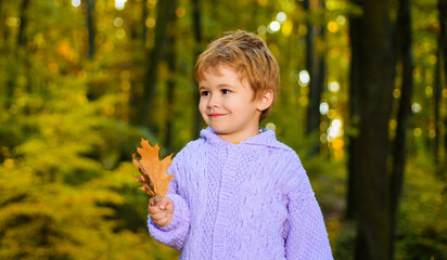 Autumn child with fall leaves. Little boy walking in park in autumn clothing. Smiling kid in warm sweater playing in autumn forest. Rest in fall in nature. Childrens knitted clothes for autumn season.
