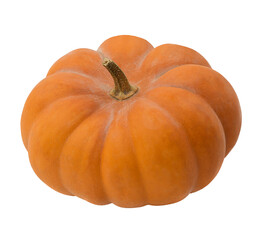 Pumpkin Season. Autumn pumpkin season. Modern design elements. Seasonal celebration. transparent,png