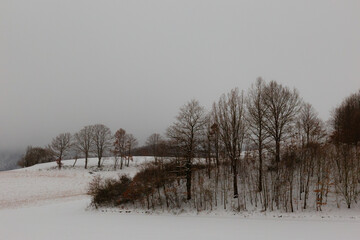 Winter landscape, with trees and hill covered by snow, under a moody, cloudy sky - 645096200