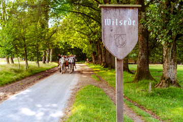 Kutschfahrt vom Heidedorf Wilsede in der Lüneburger Heide, Niedersachsen, Deutschland
