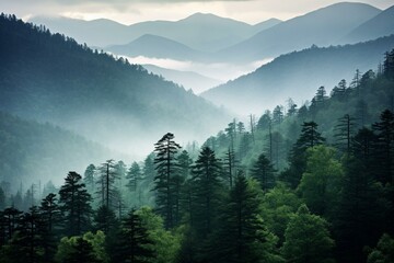 Stunning picture of densely forested mountain range in the Great Smoky Mountains National Park. Generative AI