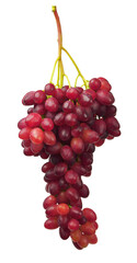 Grape. red grapes. Ripe purple grapes. Fresh grapes. Ripe berries. Wine grapes on transparent, png,