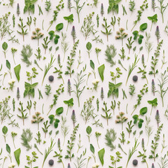 kitchen herbs seamless pattern. top view on fragrant leaves of mint, dill, rosemary, thyme stems - 645100438